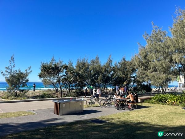 澳洲黃金海岸的夏天，到了公園及動物園，享受夏日與陽光