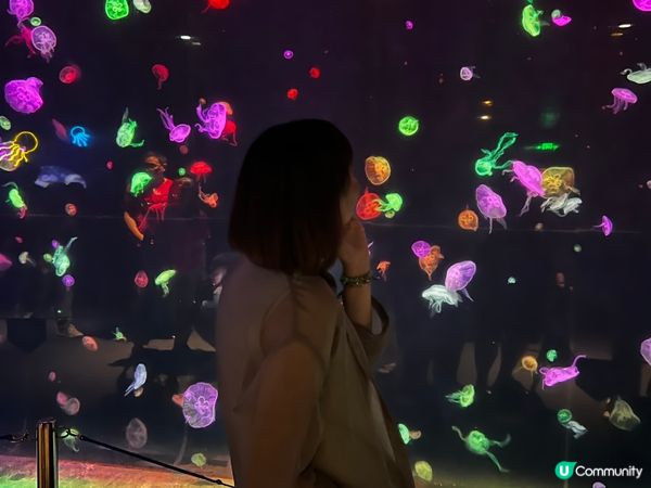 珠海長隆其實都幾靚 住左海洋密碼夢幻主題酒店 酒店好靚