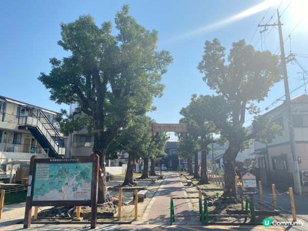 星田園地，秋千盪漾 🍂☀️