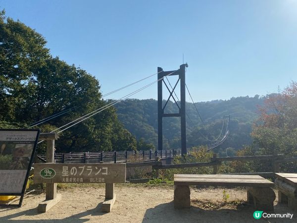 星田園地，秋千盪漾 🍂☀️
