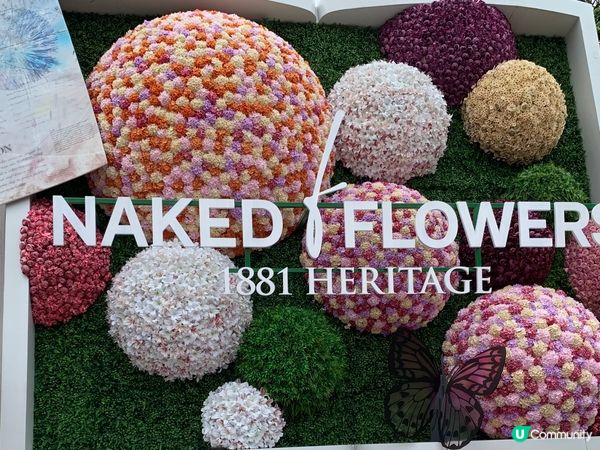 日本NAKED FLOWERS 花舞光影展香港站，以花卉作主...