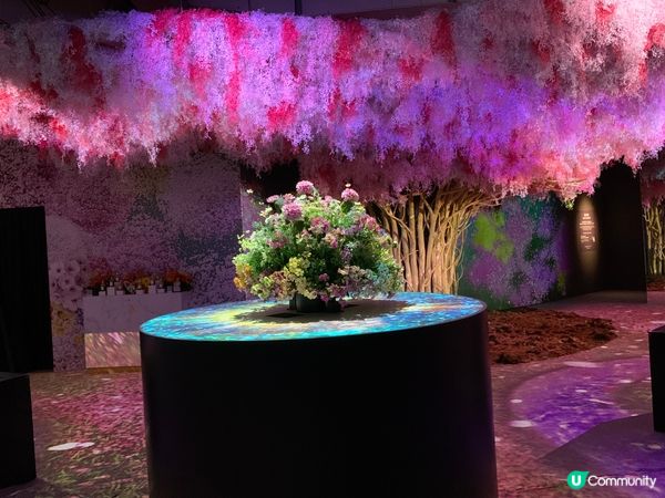 日本NAKED FLOWERS 花舞光影展香港站，以花卉作主...