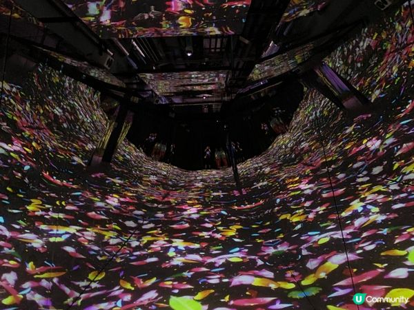 日本NAKED FLOWERS 花舞光影展香港站，以花卉作主...