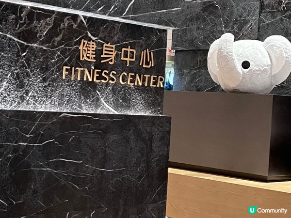 深鐵皇冠假日酒店～到處可見大象親善大使🐘