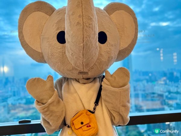 深鐵皇冠假日酒店～到處可見大象親善大使🐘