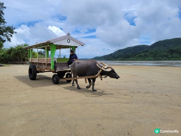 ⛰️僅餘十數人留守⭕️日本小島 ⛰️