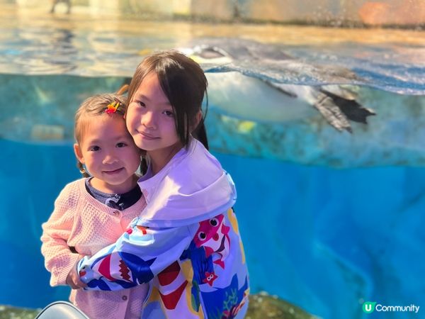 小朋友最鐘意去海洋公園，園入面企鵝餐廳食物非常吸引，每次玩到...