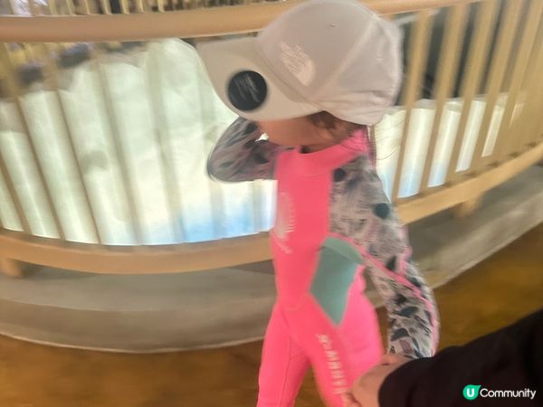 漂流探秘係小朋友好熱愛既一個設施！