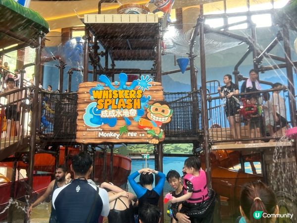 同小朋友去過海洋公園睇海獅同埋去水上樂園玩