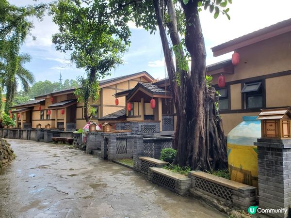 前幾日去左觀瀾山水田園酒店玩，除左酒店，園區裡面仲有溫泉、水...