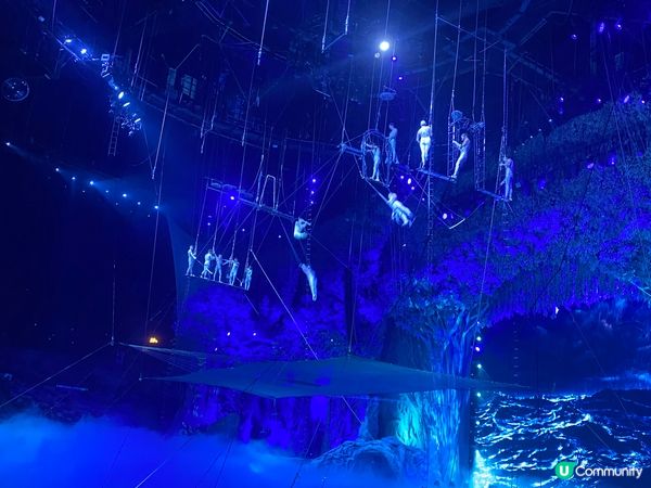 長隆野生動物園,非常多動物,及有稀有品種,長隆國際大馬戲也非...