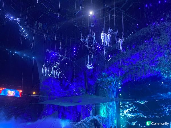 長隆野生動物園,非常多動物,及有稀有品種,長隆國際大馬戲也非...