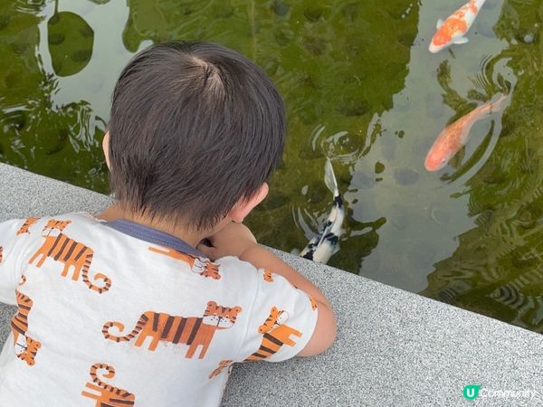 去了不同沙灘及公園，享受陽光！好開心！