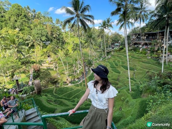 呢度係Alas Harum Bali，係Bali睇梯田、蕩千...
