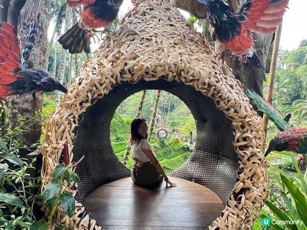 呢度係Alas Harum Bali，係Bali睇梯田、蕩千...