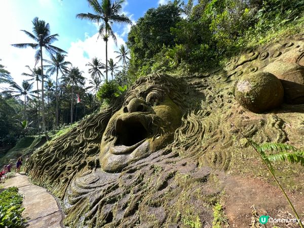 呢度係Alas Harum Bali，係Bali睇梯田、蕩千...