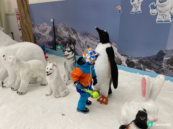 暑假北上消暑好去處，就係深圳觀瀾湖卡魯冰雪世界，出面熱到三十...