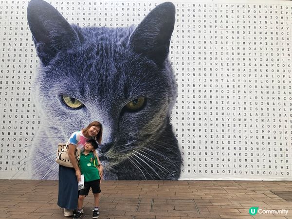 港島區認識歷史、欣賞藝術與風景的充實一天遊。