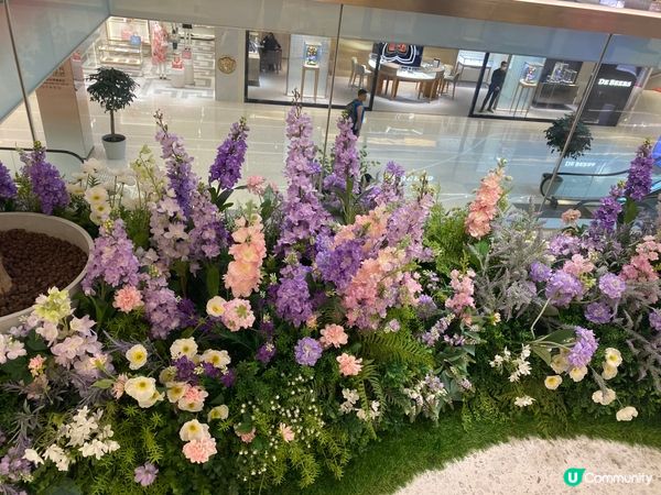 明星演唱會，明星應援，廣場的美麗花海。