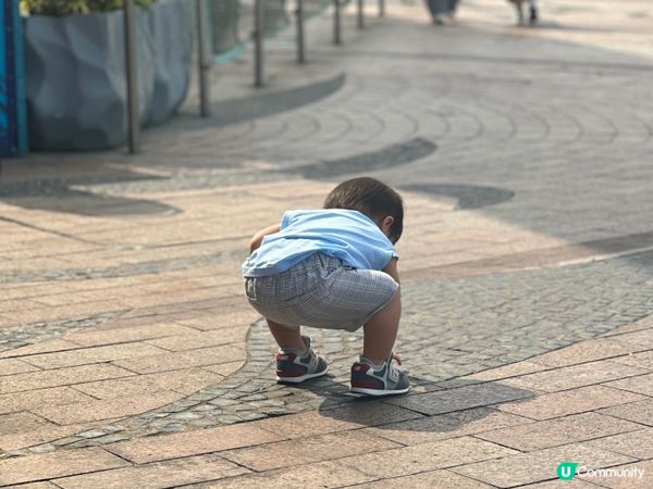 北角匯二期，有巨型花束可打卡