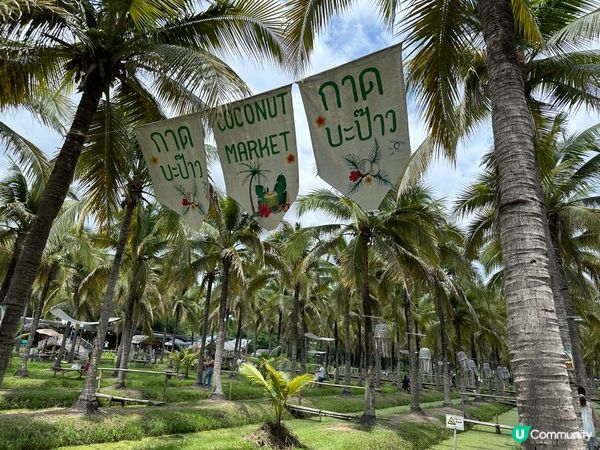 清邁週末限定椰林市集