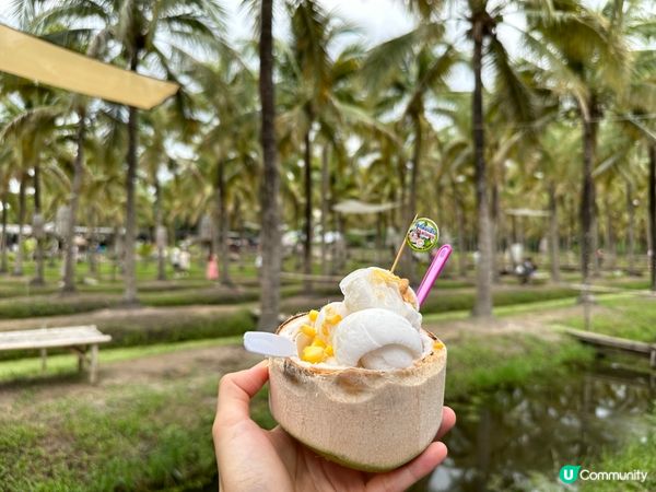 清邁週末限定椰林市集