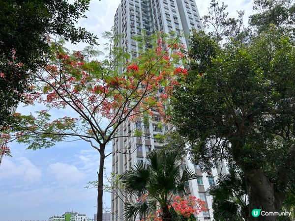 欣賞大自然風景，欣然自在，增加生命力，減輕壓力