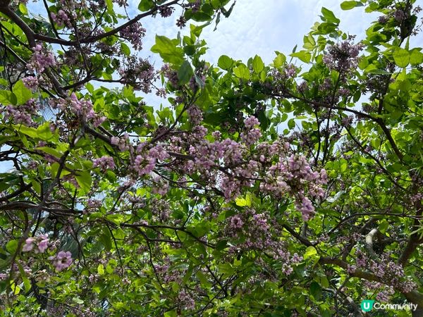 欣賞大自然風景，欣然自在，增加生命力，減輕壓力