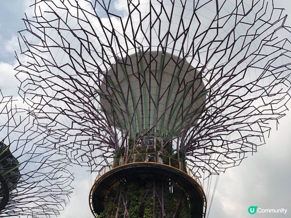 新加坡必去景點，非常出名，很多人慕名而來，風景漂亮