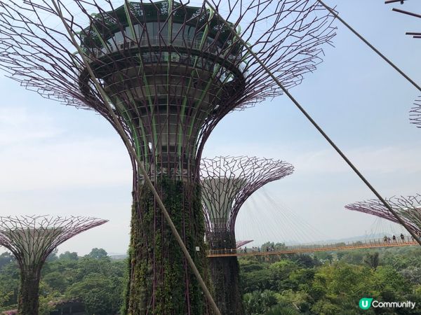 新加坡必去景點，非常出名，很多人慕名而來，風景漂亮