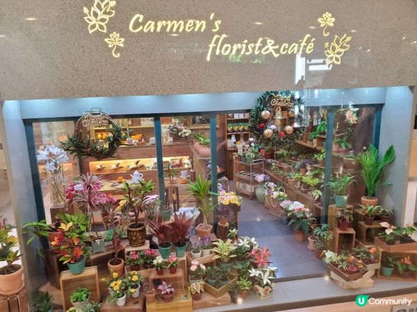 《細看中西區微型展 🔎🔍》