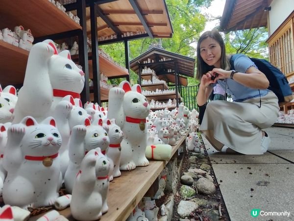 東京之旅觀光景點，去佐貓奴必去既貓貓神社豪德寺，東京必去的富...