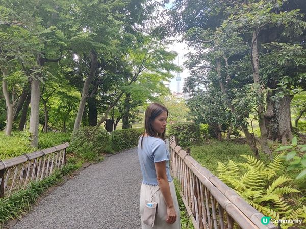 東京之旅觀光景點，去佐貓奴必去既貓貓神社豪德寺，東京必去的富...