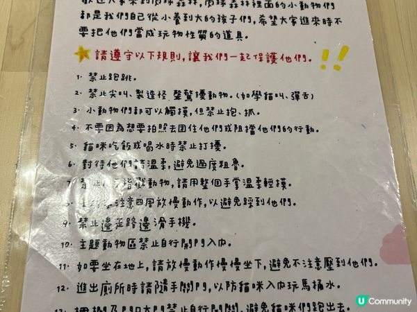 去了台灣的肉球森林cafe，其中兩隻貓主子正在吃午餐，第二張...