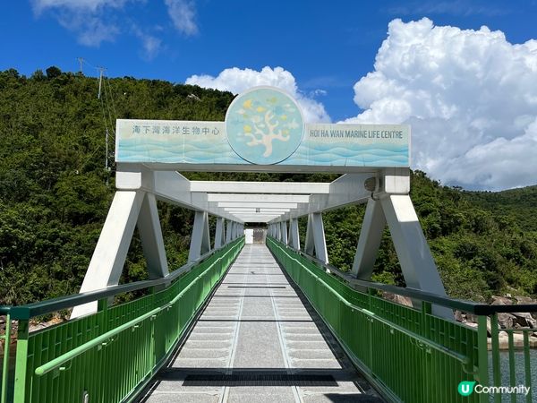 旅行走圍走，不如走入大自然.  今日去左西貢海下睇珊瑚，遇著...