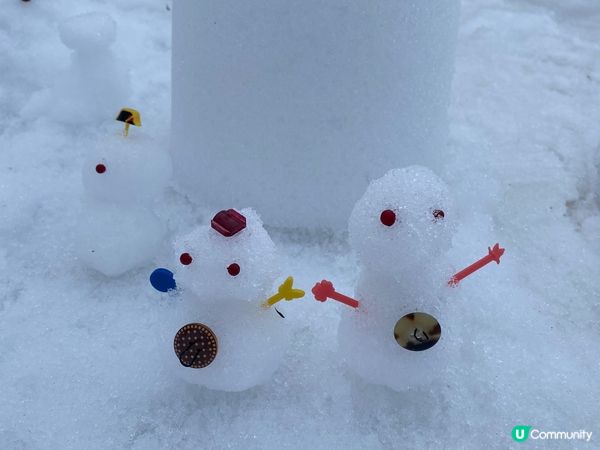 我本東北既冬天相當好玩，唔同縣有各位雪祭，加上日本三景松島海...