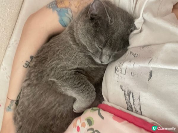 蝙蝠仔快要變蝙蝠俠
