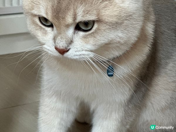 hi 我係一隻好有個性既?