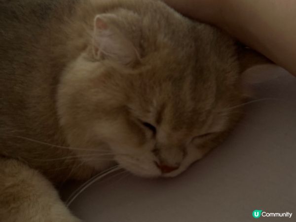 hi 我係一隻好有個性既?