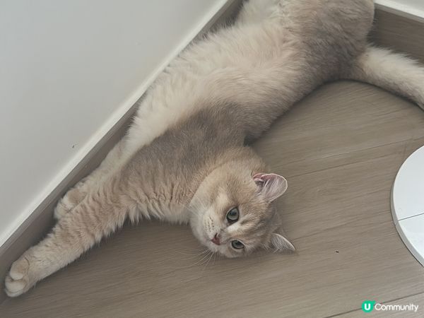 hi 我係一隻好有個性既?