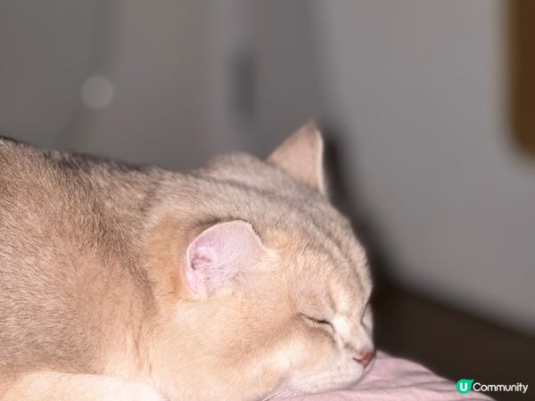 hi 我係一隻好有個性既?