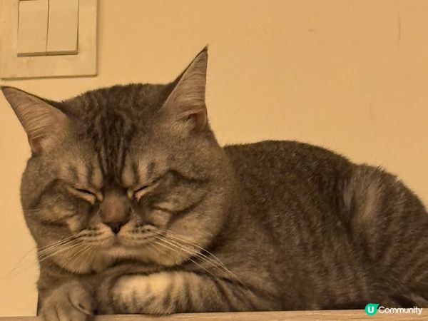 大仔：kimi 細仔：豆釘 大仔文靜 細仔百厭 兩個都好為食...