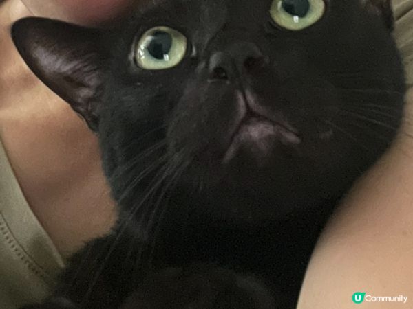 黑糖焦糖日常在家慢活，開開心心，快快活活地生活