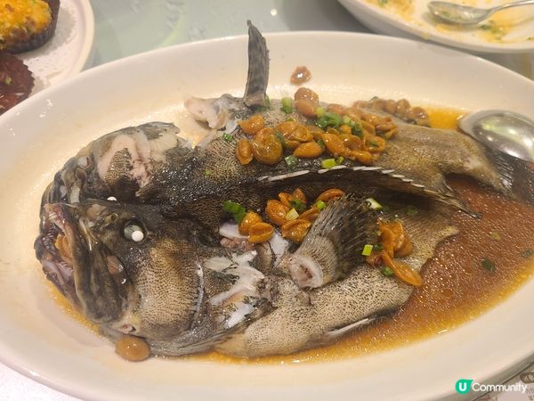 海王漁港 超抵食12人餐，星期一至四只需$1999 仲要包茶...