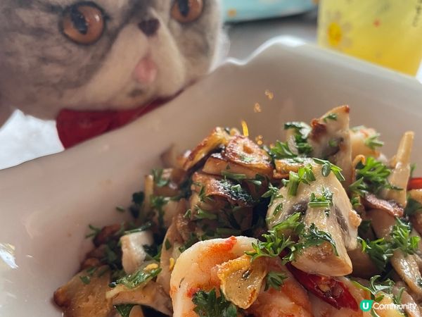 泰國曼谷翟道翟週末市集 有野買有野食 係天氣熱咗啲 #玩轉暑...