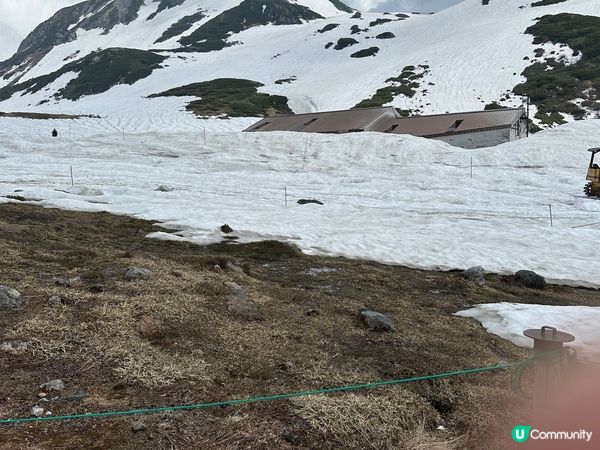 今年出行地點-達古冰村、九寨溝、上高地、立山黑部、深圳第一大...