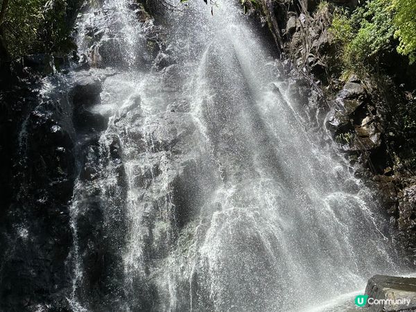 今年出行地點-達古冰村、九寨溝、上高地、立山黑部、深圳第一大...