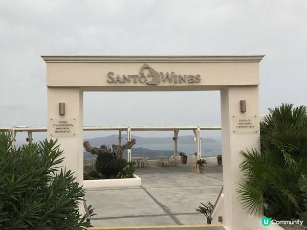 Nice Santorini wine estate. 