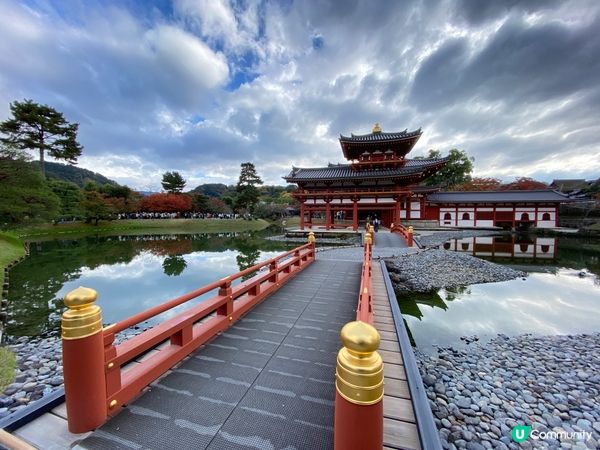 🛫《國寶級世界遺產》🎌京都宇治🍁深秋平等院🏯