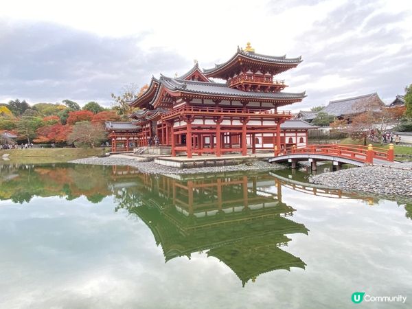 🛫《國寶級世界遺產》🎌京都宇治🍁深秋平等院🏯
